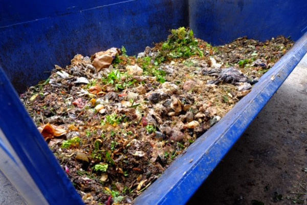 Biom�ll sortiert in Container