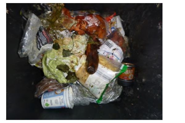 Verpackte Lebensmittel im Hausm�ll