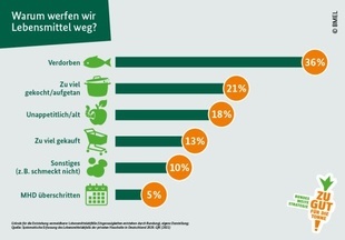 Infografik Zu Gut für die Tonne, Welche Lebensmittel werfen wir weg, Copyright BMEL Infografik Zu Gut für die Tonne, Welche Lebensmittel werfen wir weg, Copyright BMEL